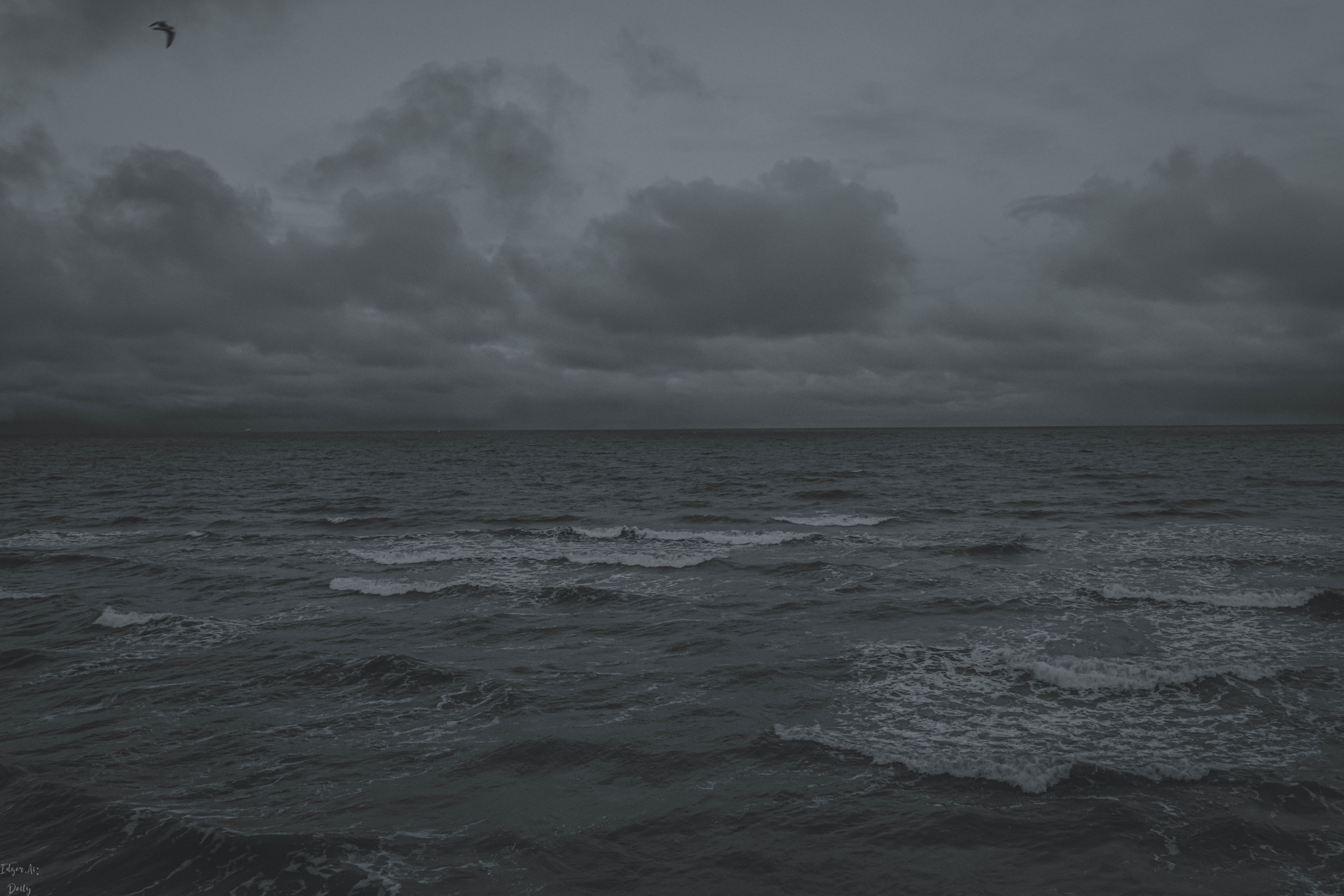 Океан грей. Общество черного океана. Grey Ocean. Ocean Grey_205.