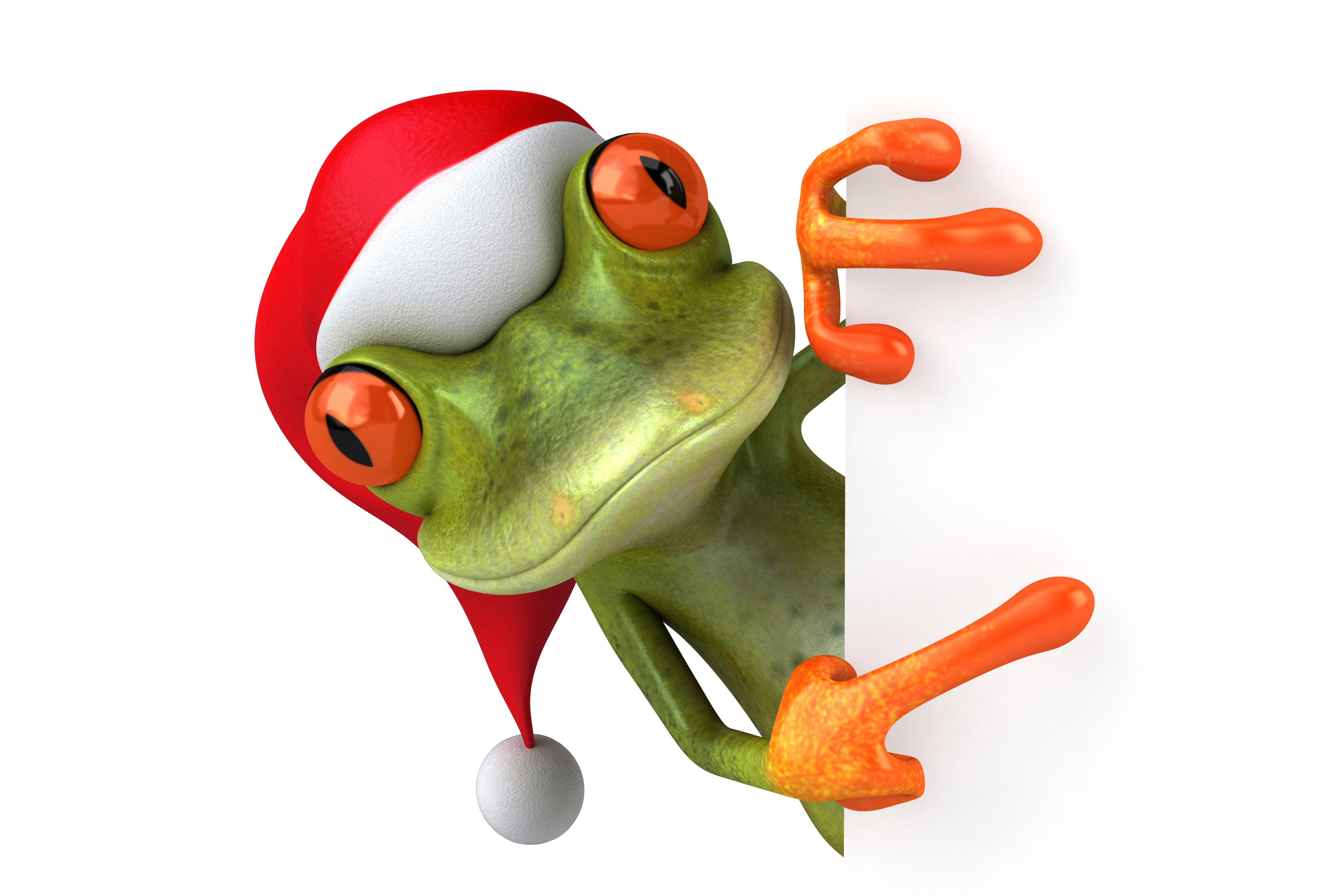 Обои лягушка, christmas, frog, funny, santa hat на телефон и рабочий стол,  раздел рендеринг, разрешение 6000x4000 - скачать