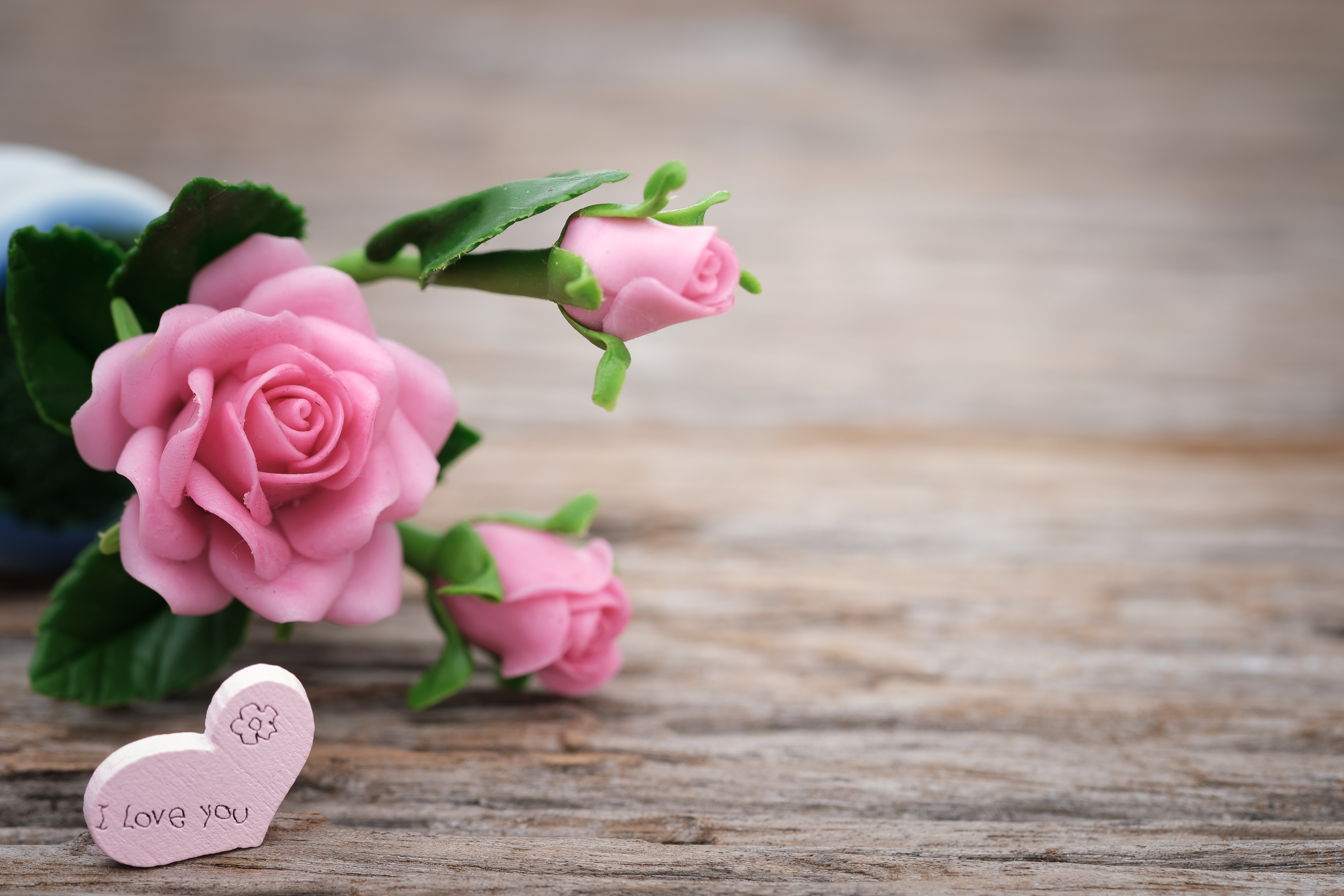 Лов цветы. Романтичные цветы. Розовые цветы. "Цветы любви". Розовые розы.
