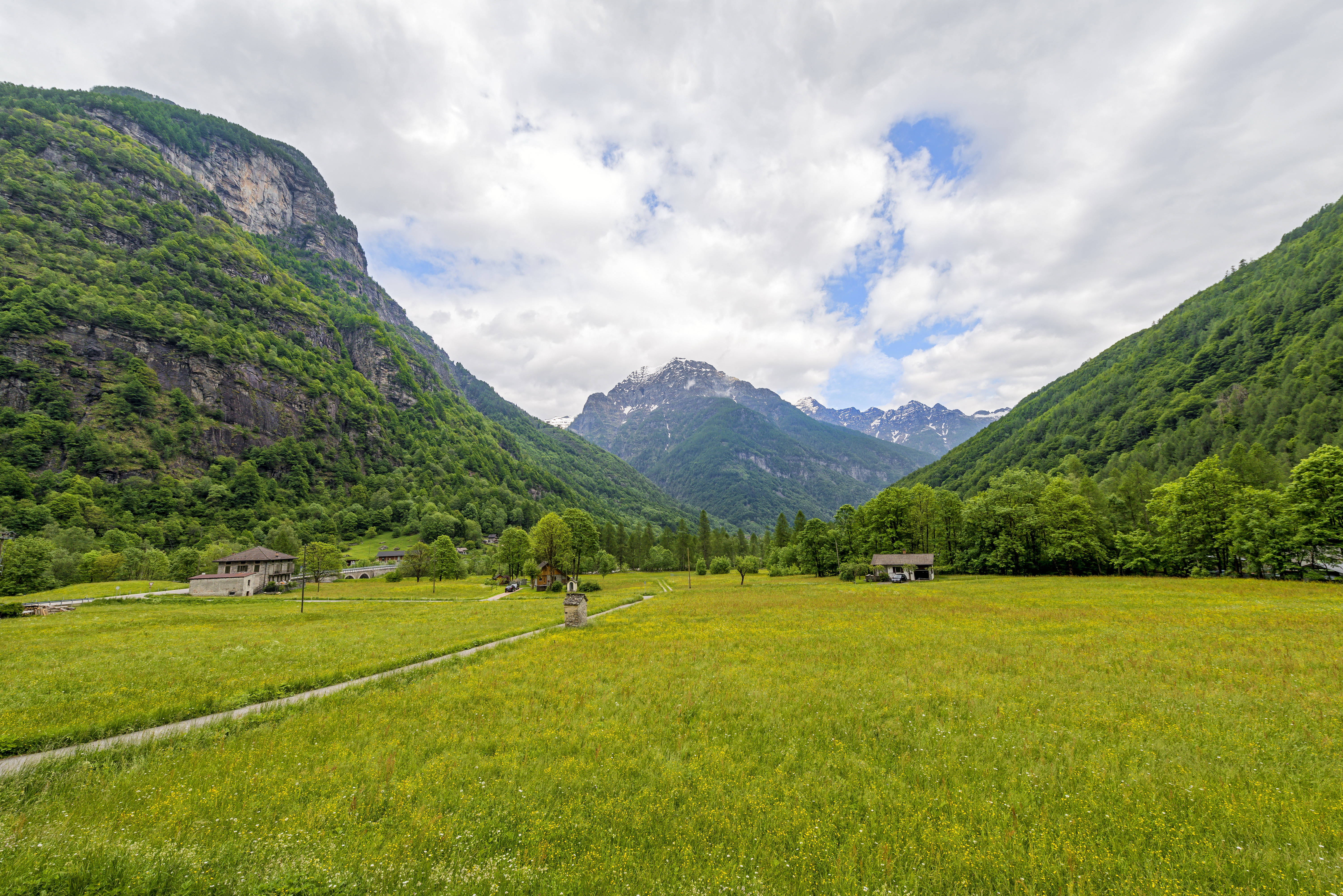 Old mountain. Альпийские Луга Швейцария. Долины Швейцарии. Поле с горами Швейцария. Лес и горы Швейцария.