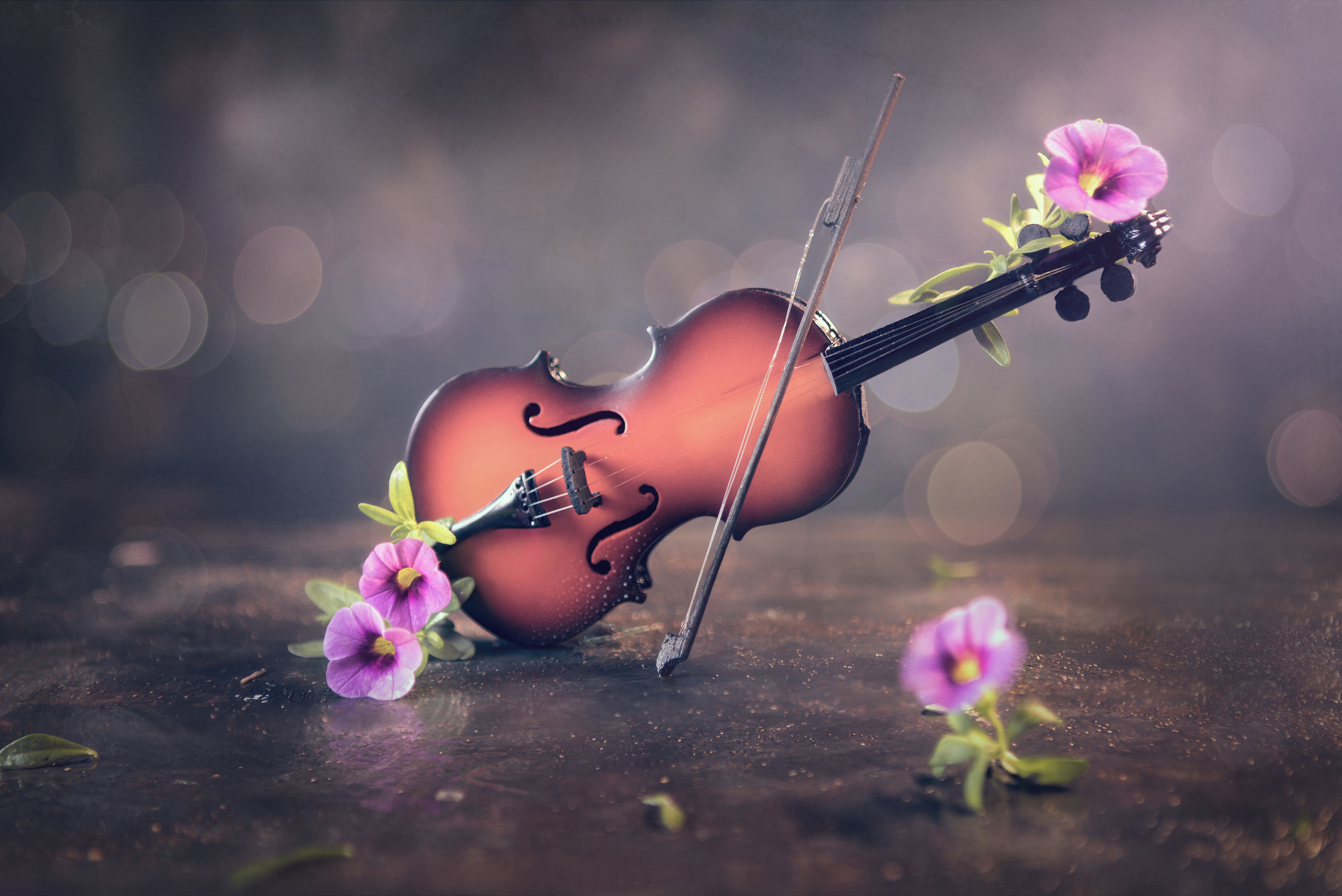 Включи песню цветы. Скрипка Вивальди. Музыкальные инструменты и цветы. Красивая скрипка. Скрипка фото картинки.