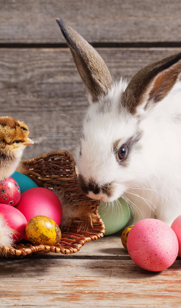 Пасхальный кролик. Пасха кролик. Пасхальный кролик с яйцами. Пасхальный кролик и цыпленок. Пасхальный кролик фото