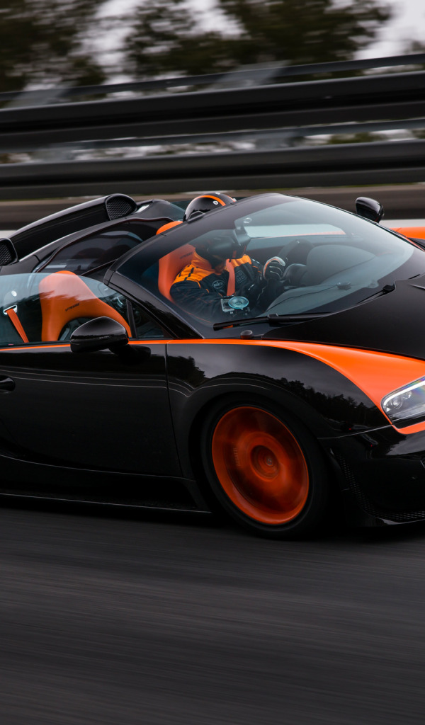 Bugatti Veyron Grand Sport Vitesse WRC Edition