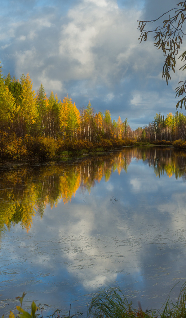 Отражение Осени В Воде Фото