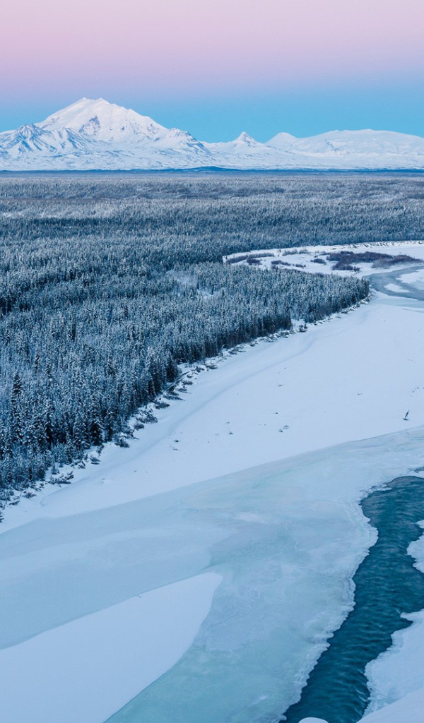 Ice forest. Аляска зима. Аляска.