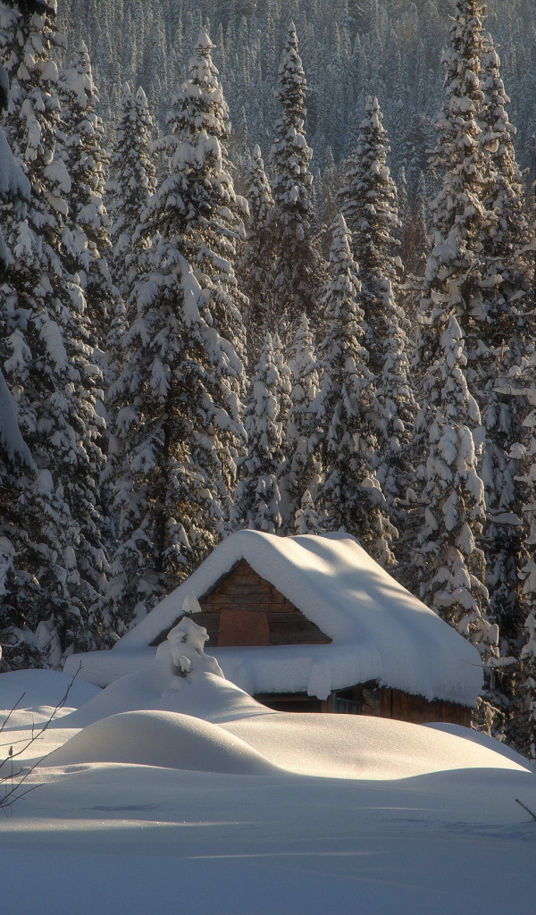 Фото Зимней Избушки