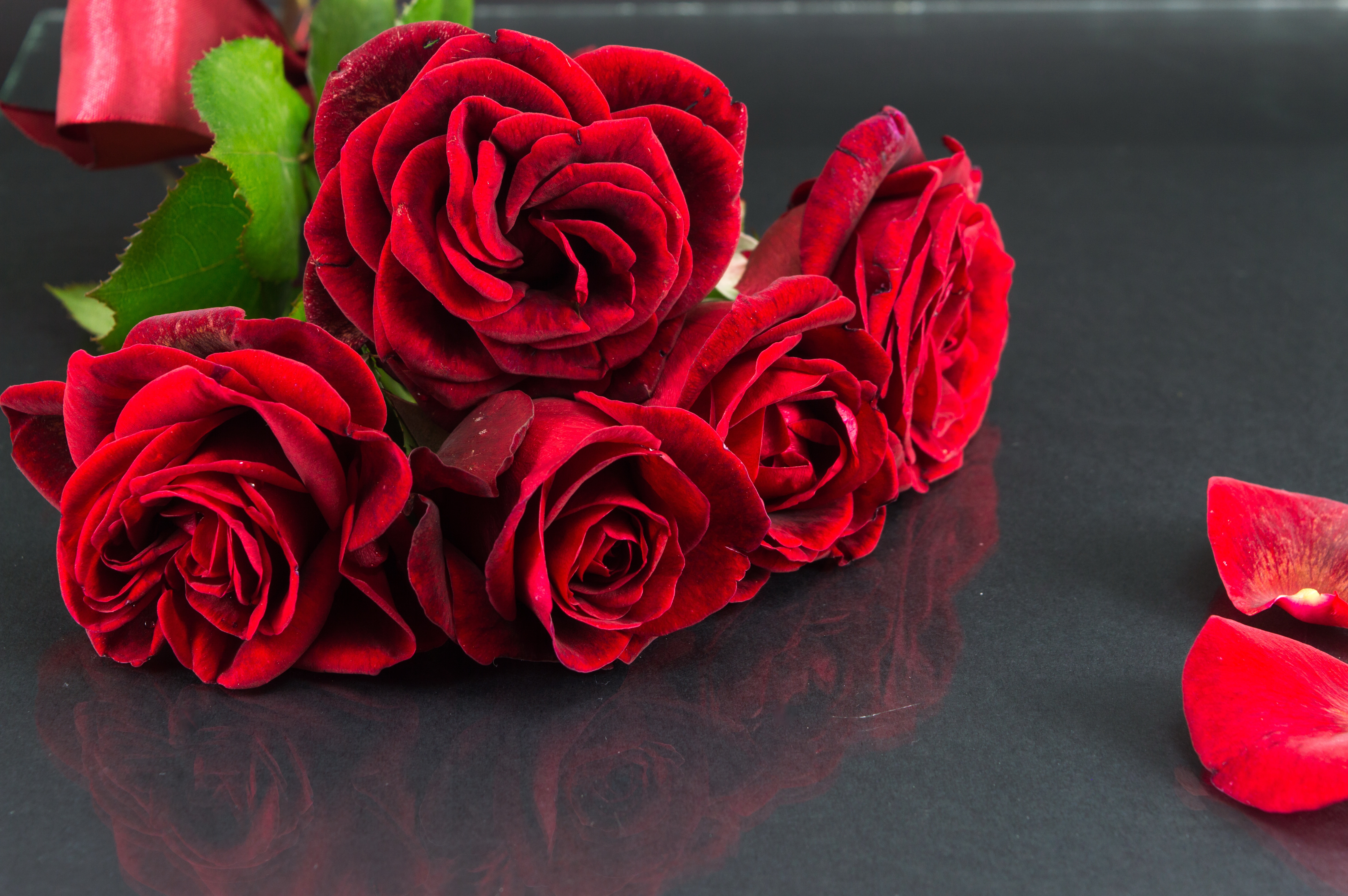 Дорогие любимые здравствуйте. Красные розы. Цветы розы красные.