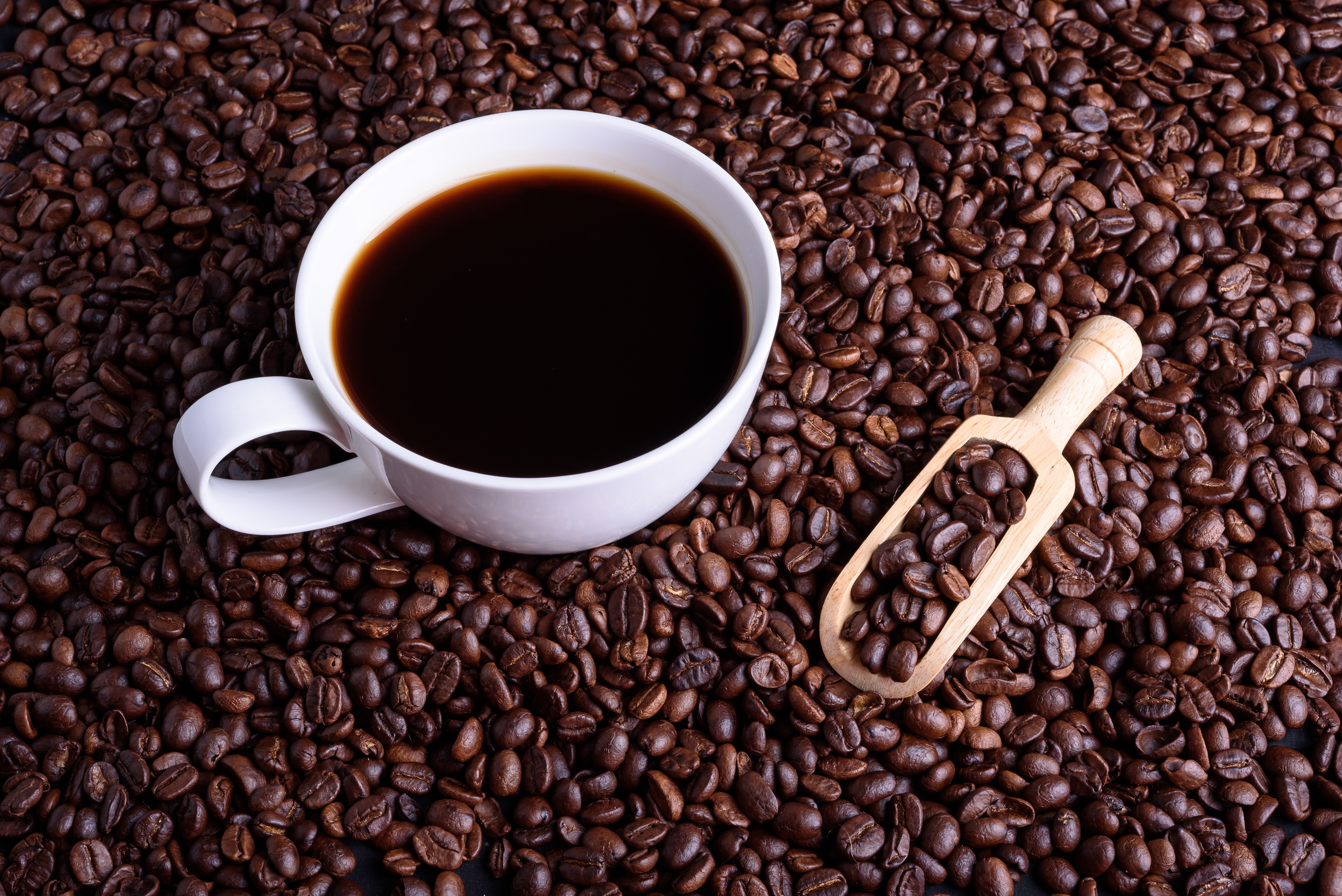 Напиток с кофейными зернами. Кофе в зернах. Кофе (напиток). Кофе зерновой Арабика. Кофе зерна лопатка.