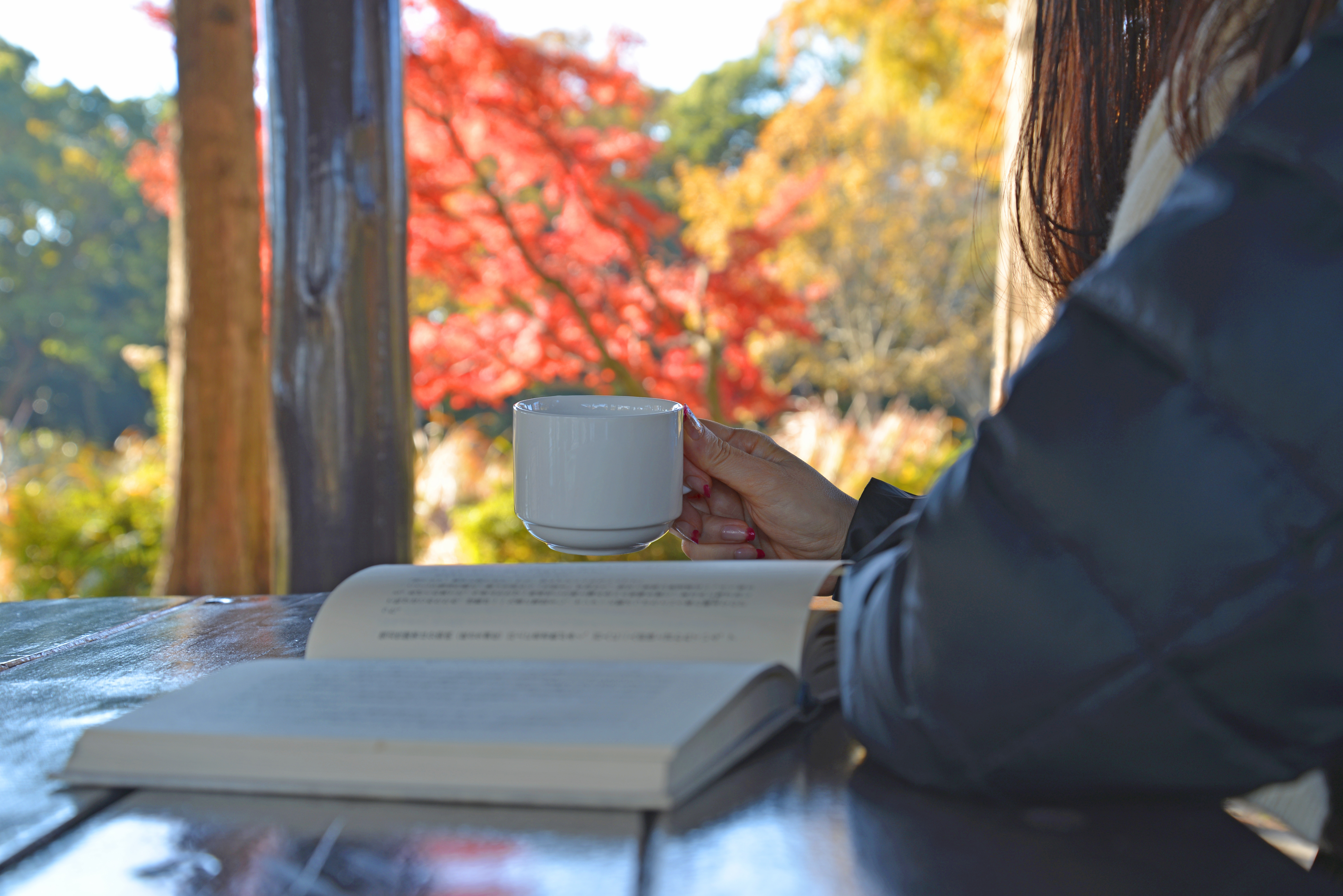 Настроение читать книгу. Девушка с книгой на природе. Чтение осенью. Осень девушка книга. Уютная осень с книгой в руке.