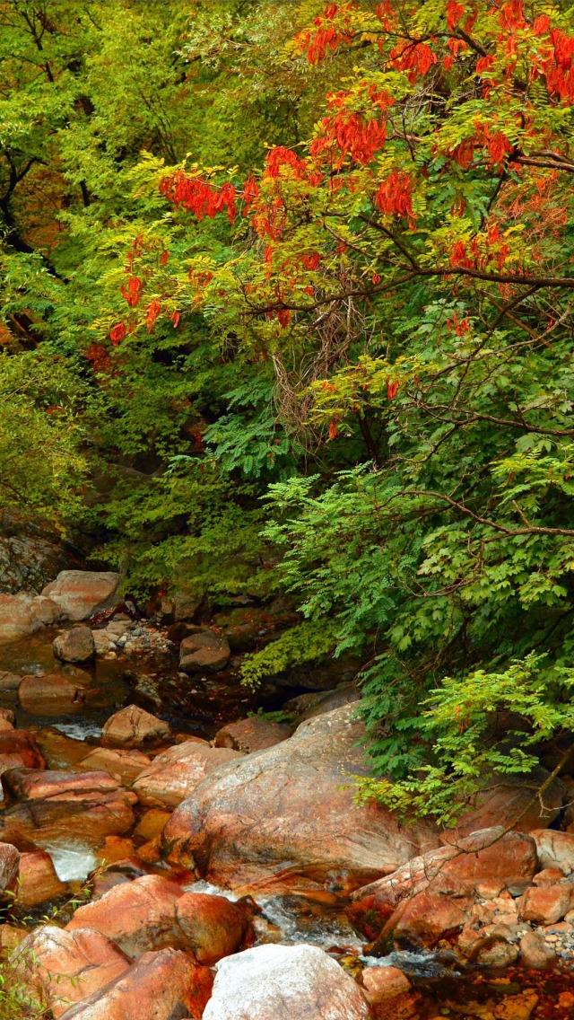 Stone fall. Скалы лес осень. Осень камни лес. Осень у речки в лесу. Лес осень река камни.