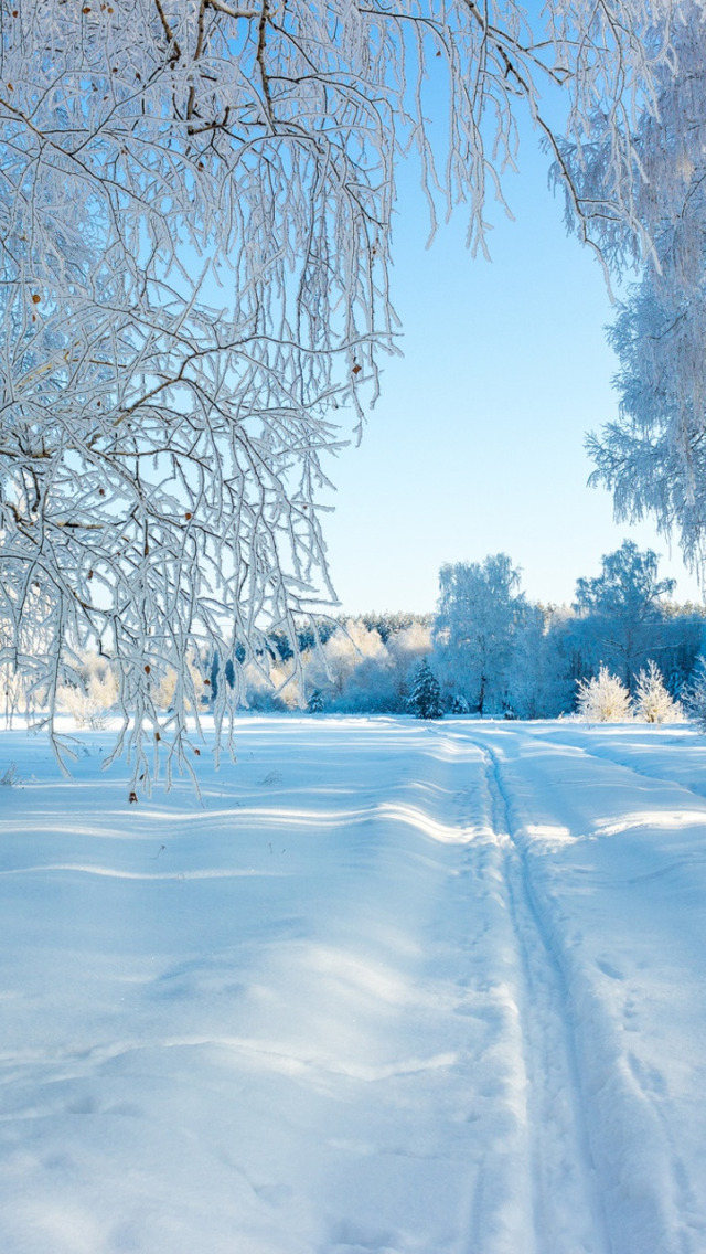 Winter on Russia