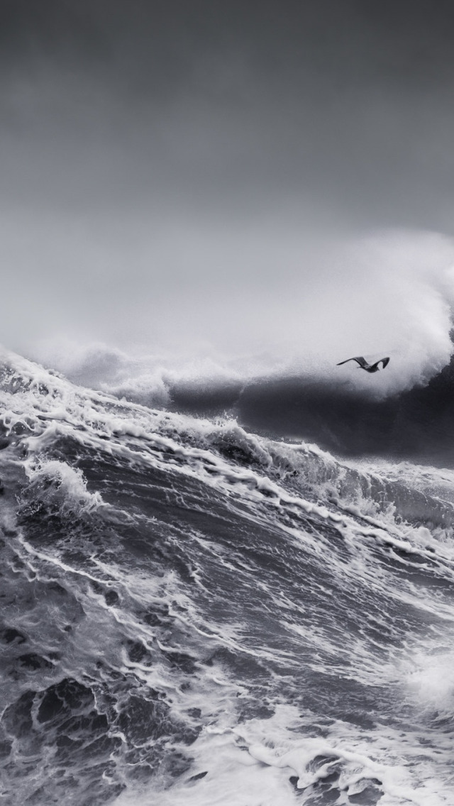 Океан шторм 2. Черно белые волны. Море шторм. Черно белый шторм. Черное море шторм.