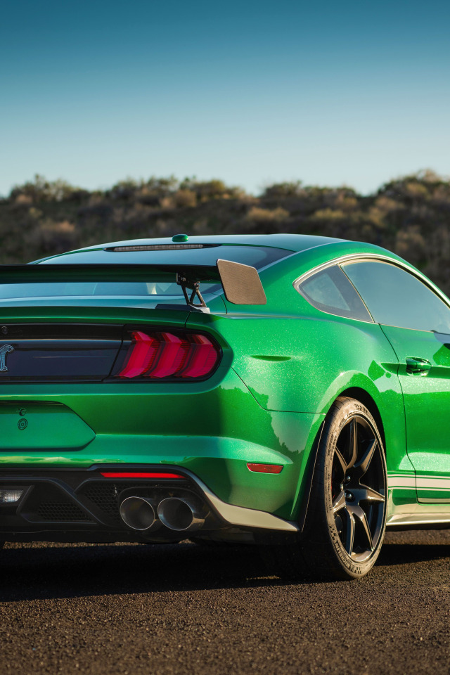 Ford Mustang Shelby Р·РµР»РµРЅС‹Р№