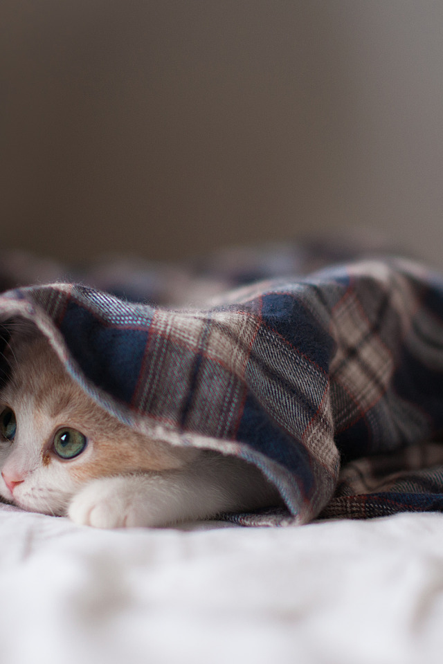 Доброе утро одевайтесь теплее