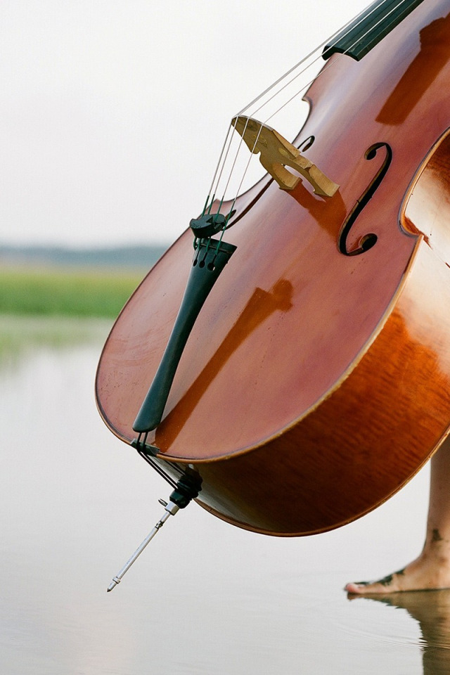 Музыкальные инструменты. Виолончель. Контрабас. Музыкальный инструмент и настроение. Музыкальный инструмент вода