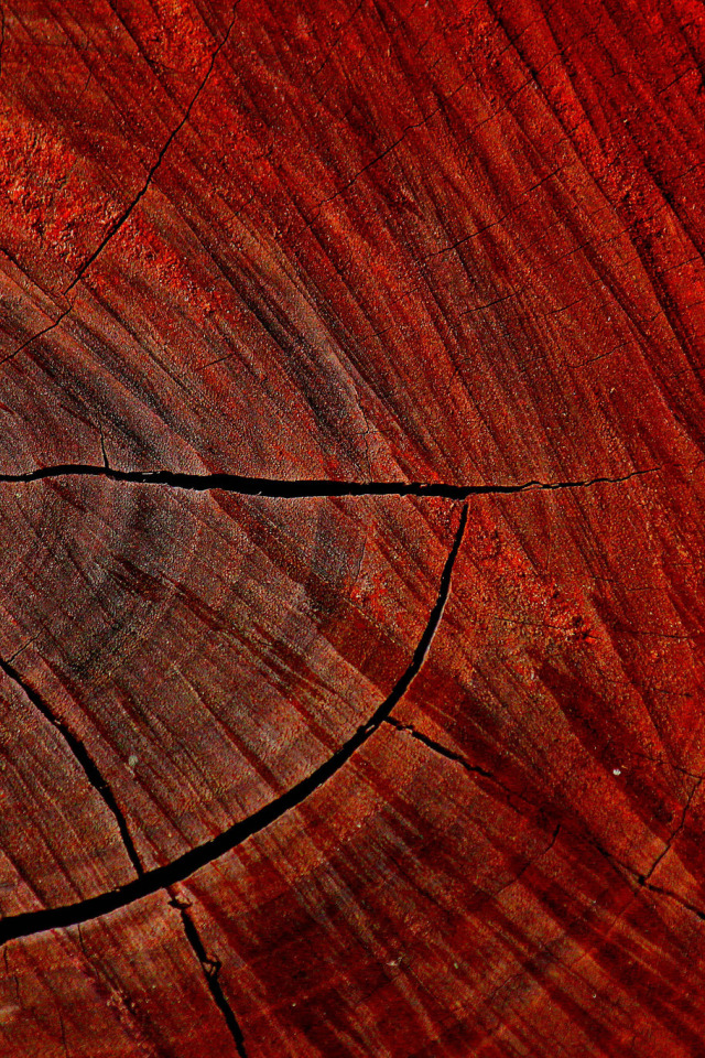 Текстура дерева с трещинами. Красное дерево спил. Красивые спилы деревьев красное. Дерево деревья. Трещина на столе