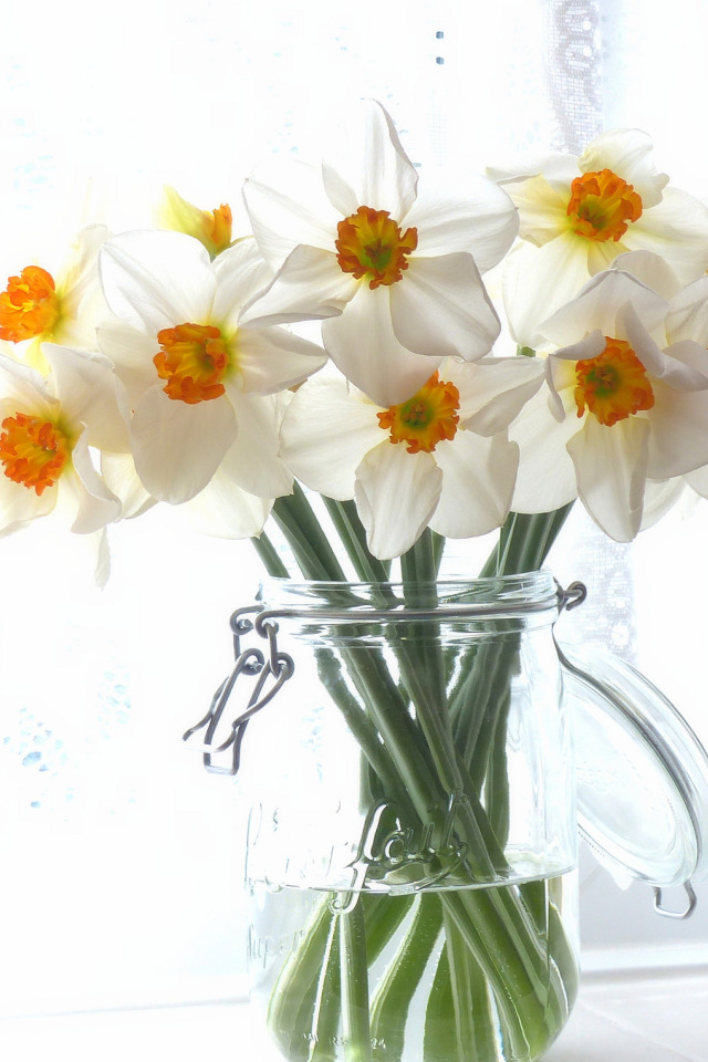 Открытки с нарциссами. Нарциссы цветы букет. Нарциссы Монобукет. Красивая ваза с нарциссами. Белые нарциссы в вазе.