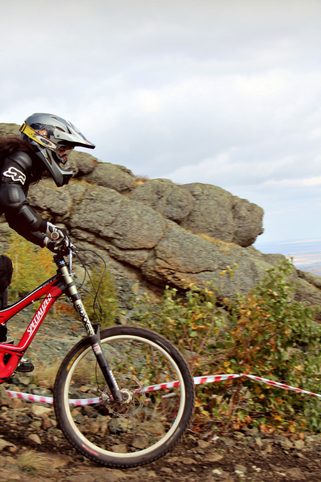 Specialized Volvo Downhill 230mm велосипед