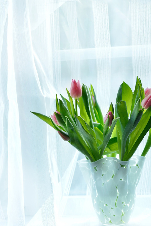 Почему не распускаются тюльпаны в вазе