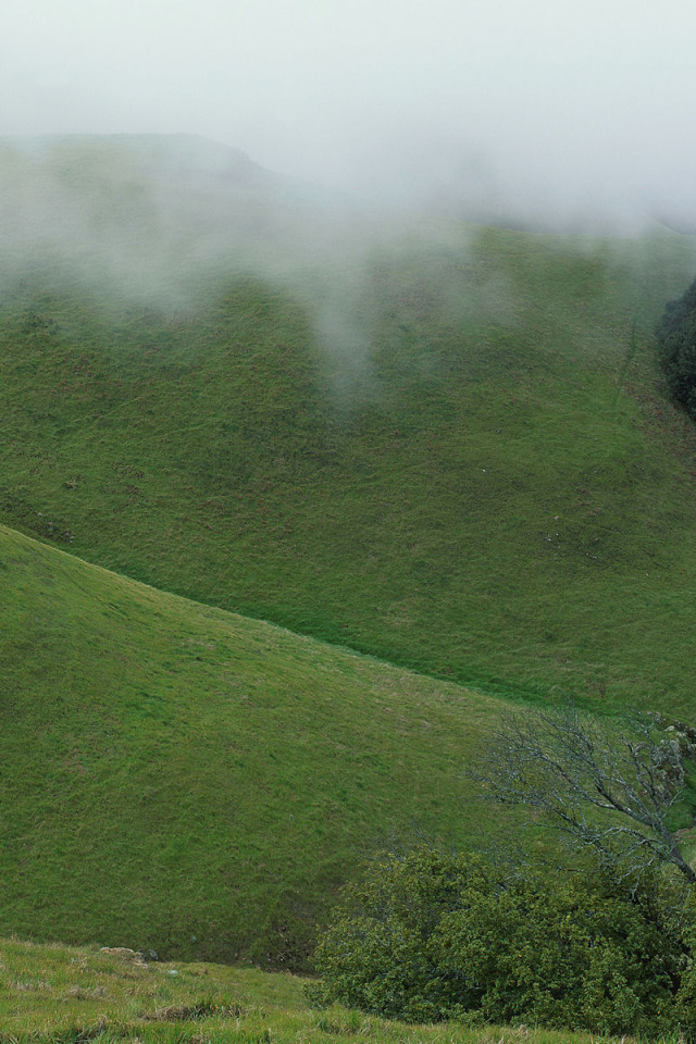 Холмы туман. Туманные холмы. Зеленый туман. Холмы в тумане. Зеленые горы в тумане.