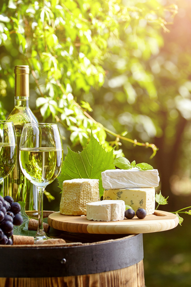 Сыр вино санкт петербург. Вино и виноград. Вино сыр виноградник. Вино и сыр. Вино и сыр на столе.