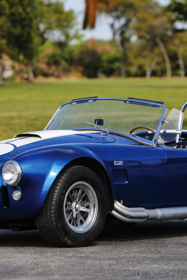 Shelby Cobra mk4