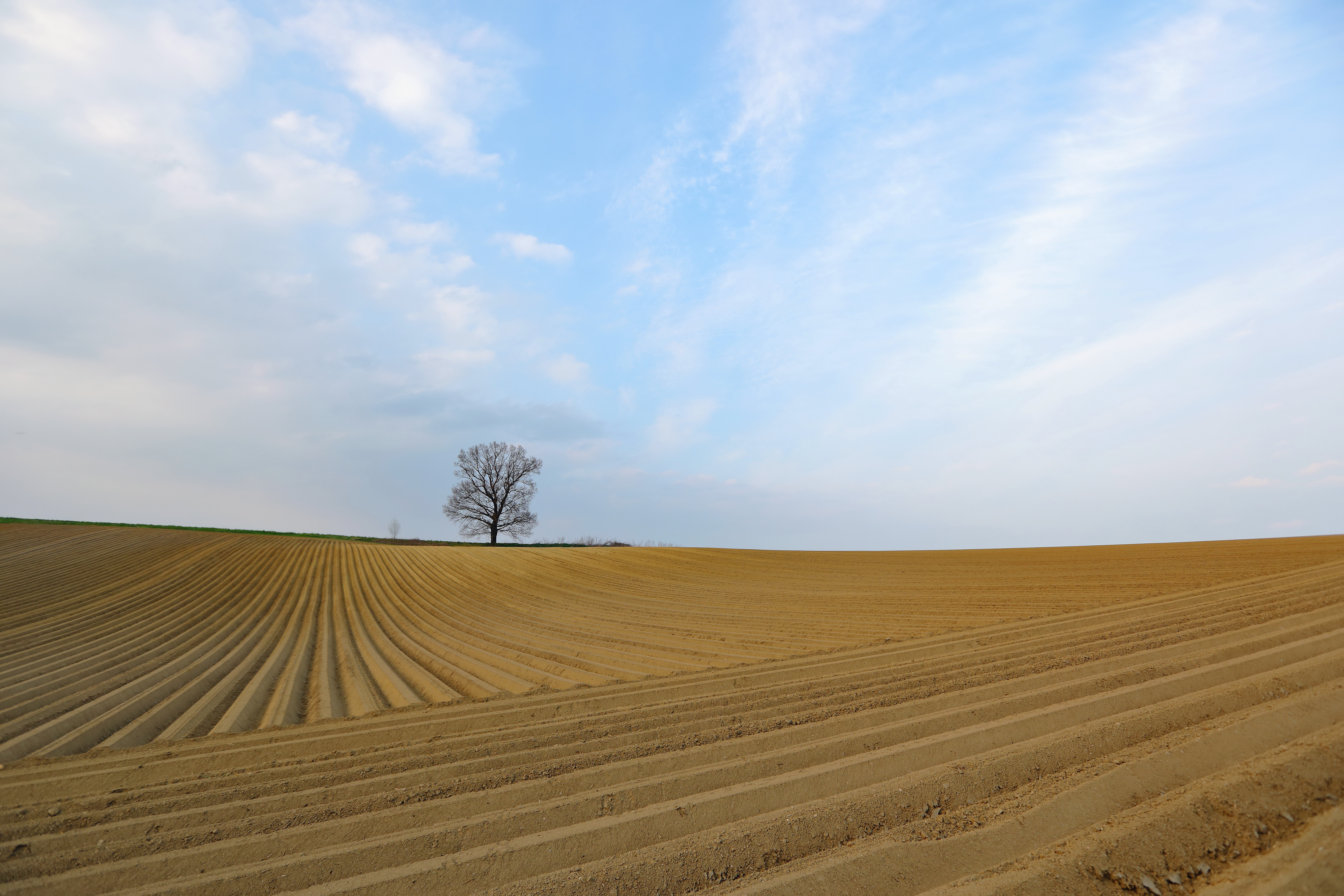 Picture field. Пашня рулогвы. Осеннее поле. В чистом поле.... Пашня сверху.