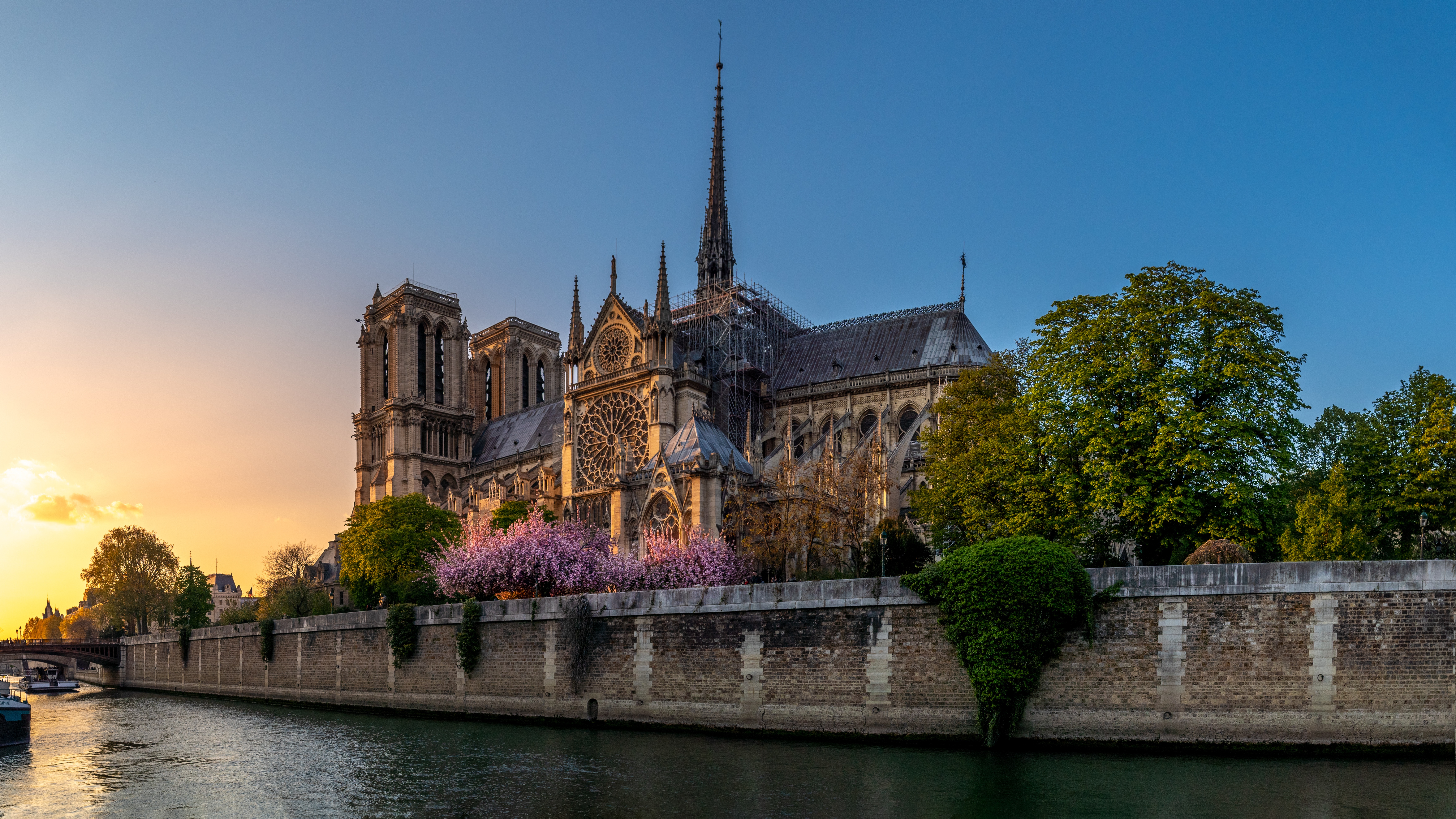 C france. Париж Нотр дам де пари.