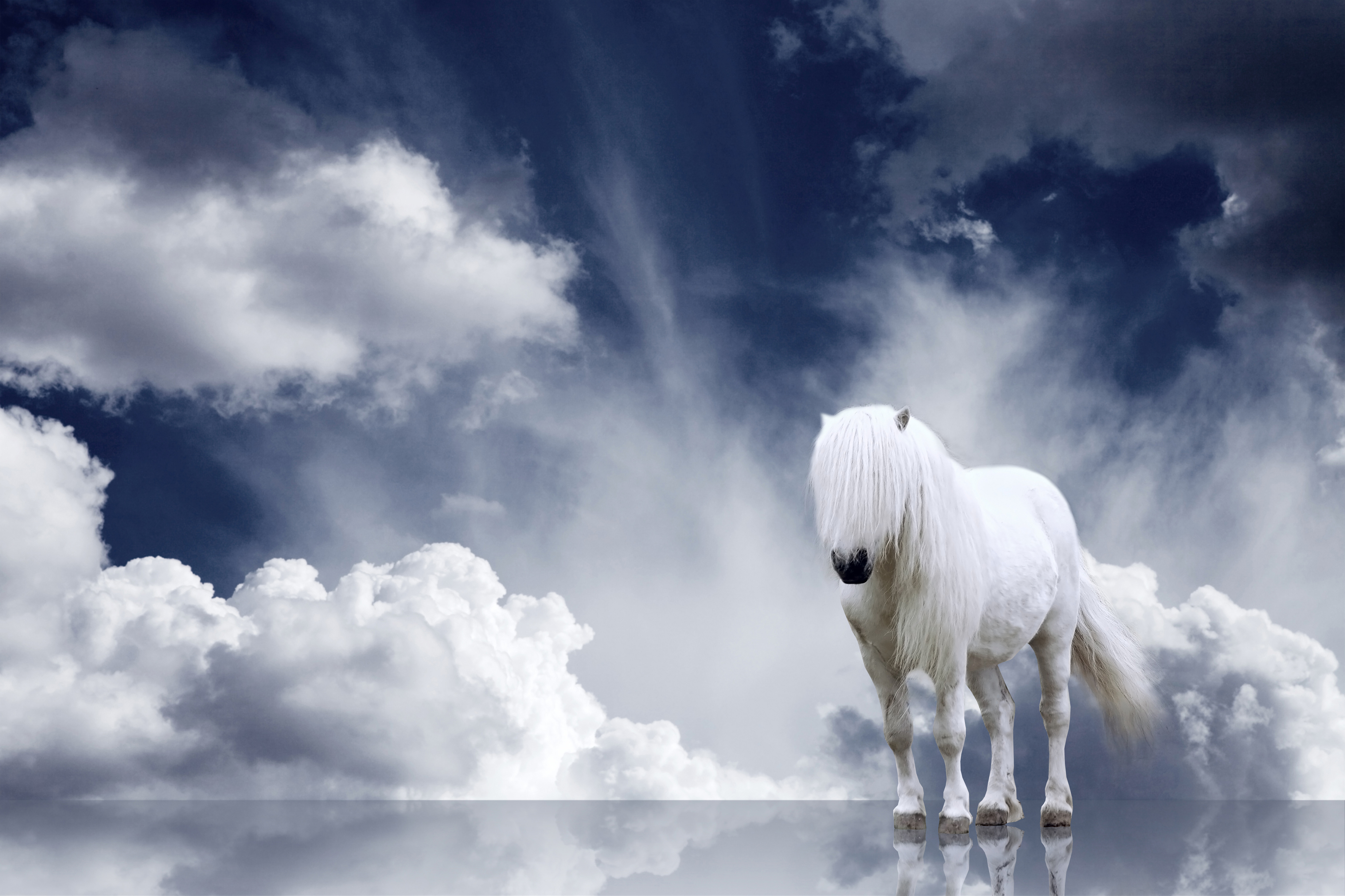 Imagine de. Белая лошадь. Красивый белый конь. Красивая белая лошадь. Небесные лошади.