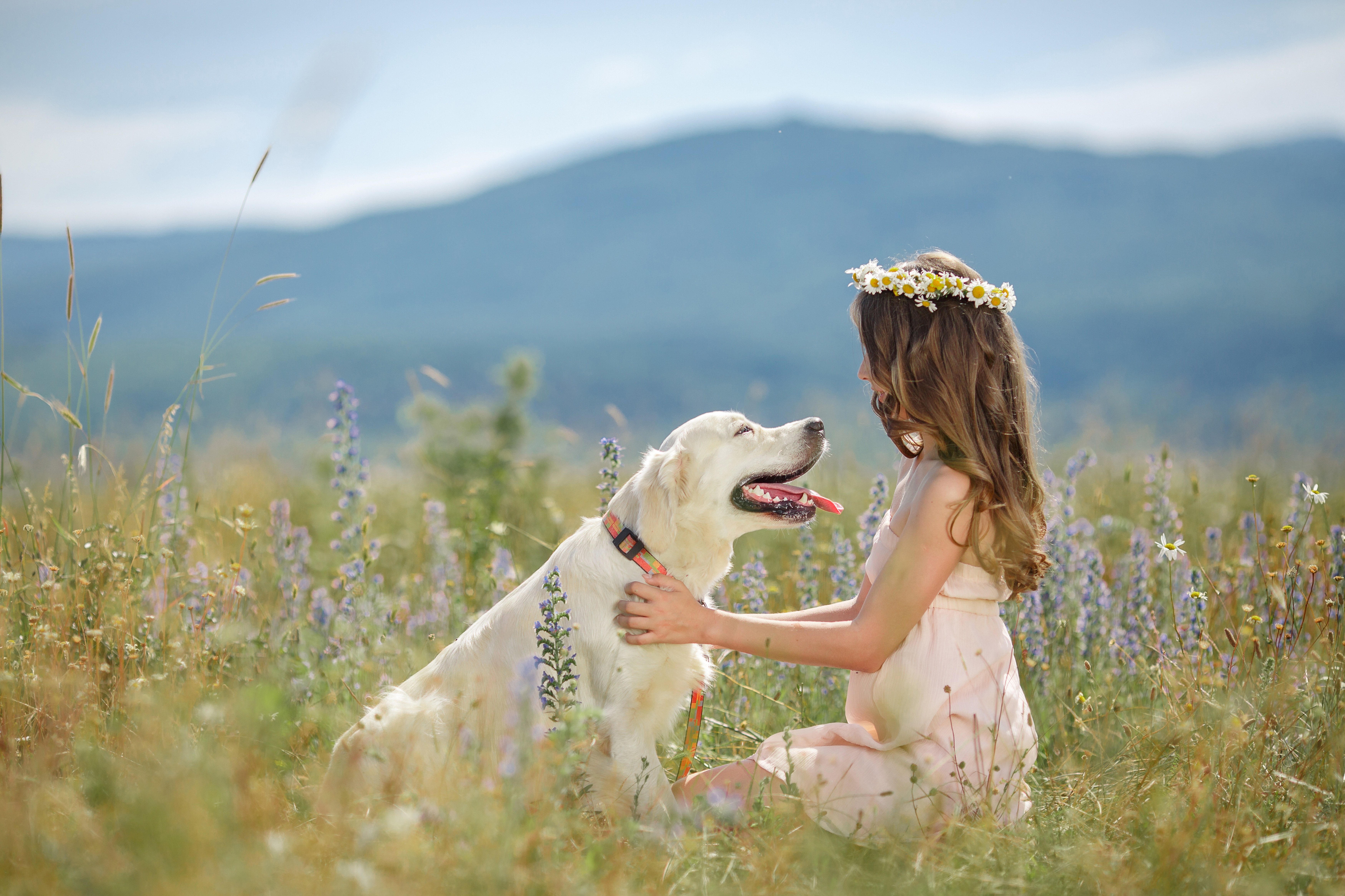 Самая добра картинка. Девочка с собакой. Гармония человека и природы. Фотосессия с собакой на природе. Люди и животные на природе.