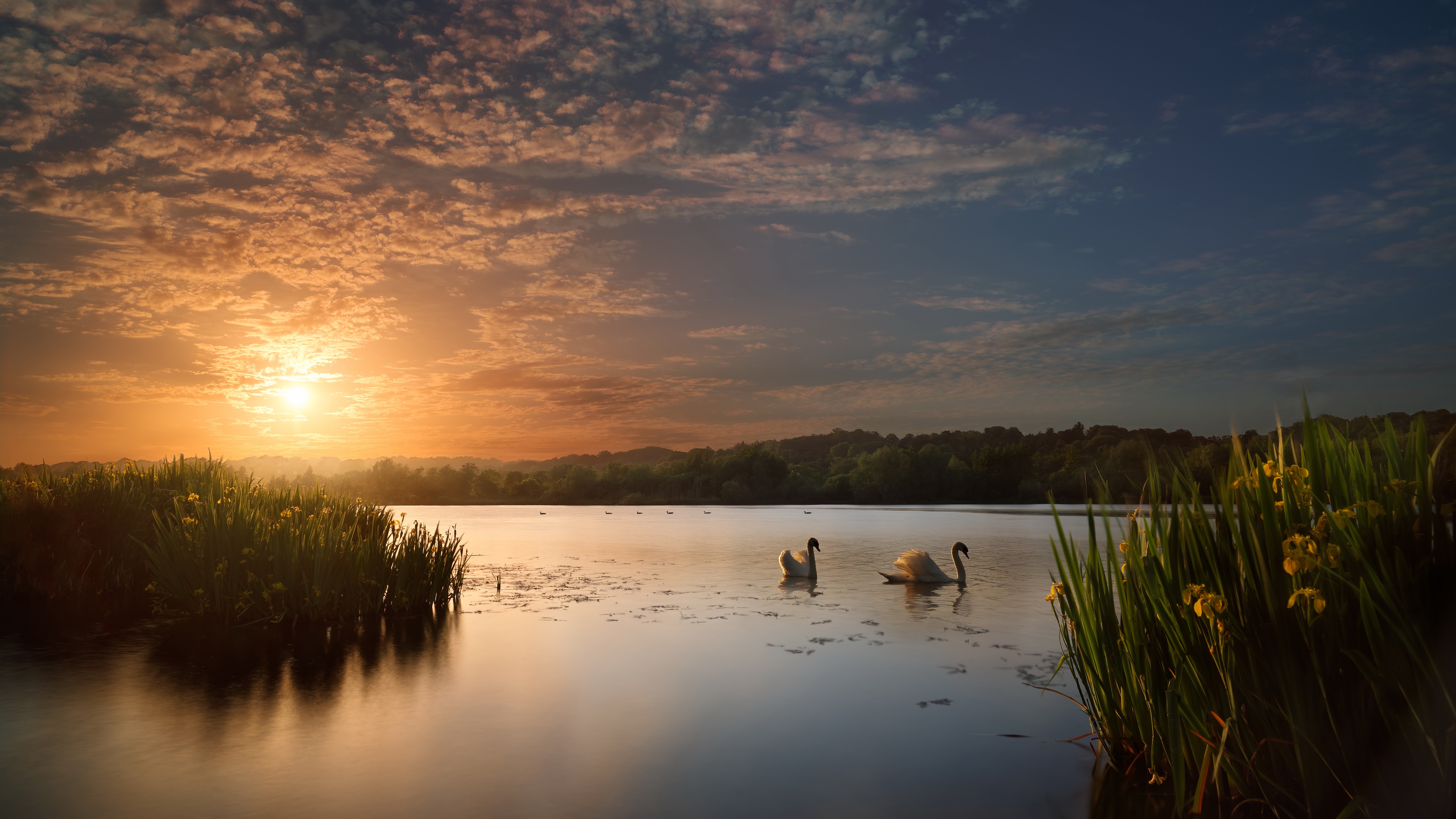 Природа молчания. Пейзаж Селява Беларусь. Озеро Подгорское. Озеро тишь Калужская область. Озеро Сарпа.