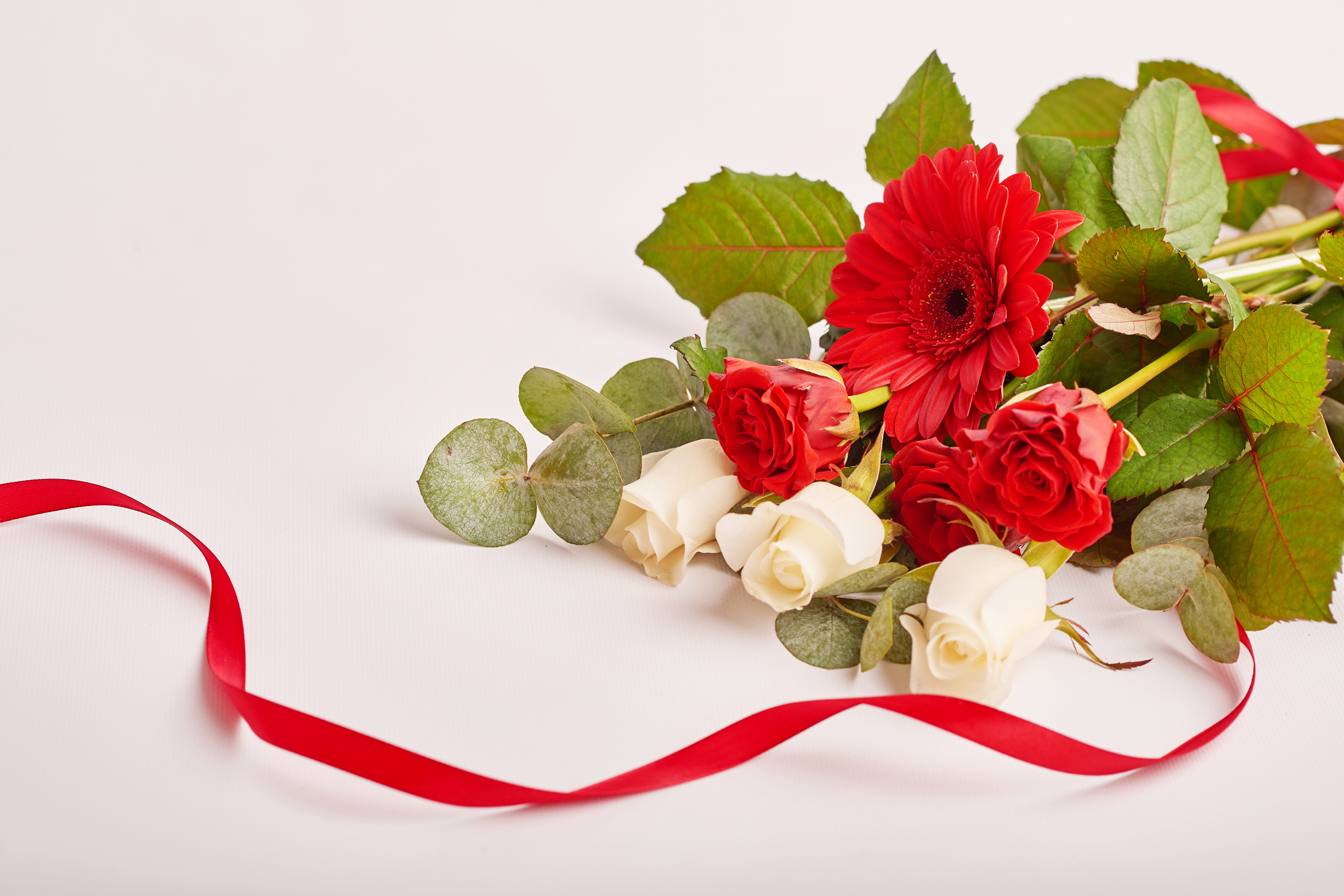 Футаж букет цветов. Букет цветов с лентой. Букет цветов на красивом фоне. Букет роз и подарок.
