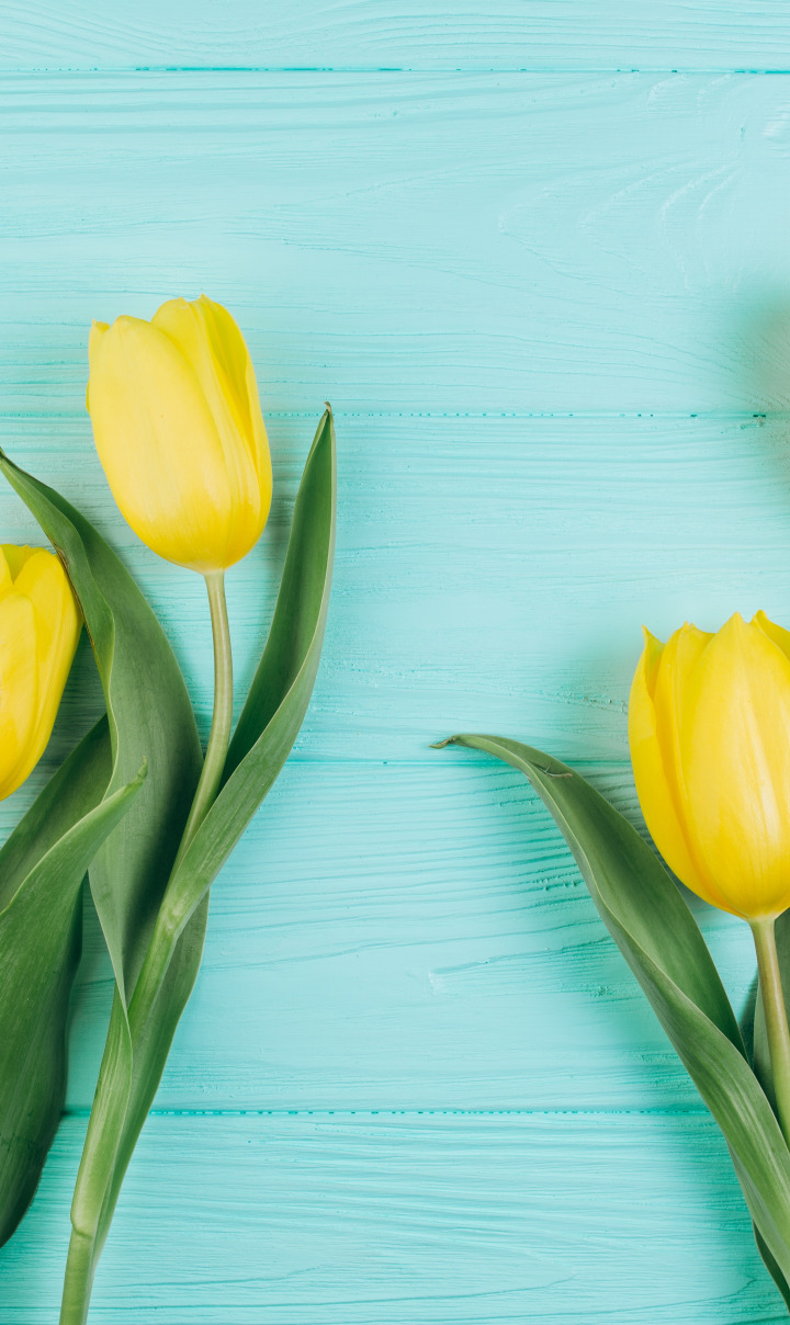 цветы, желтый, тюльпаны, fresh, yellow, wood, flowers, beautiful