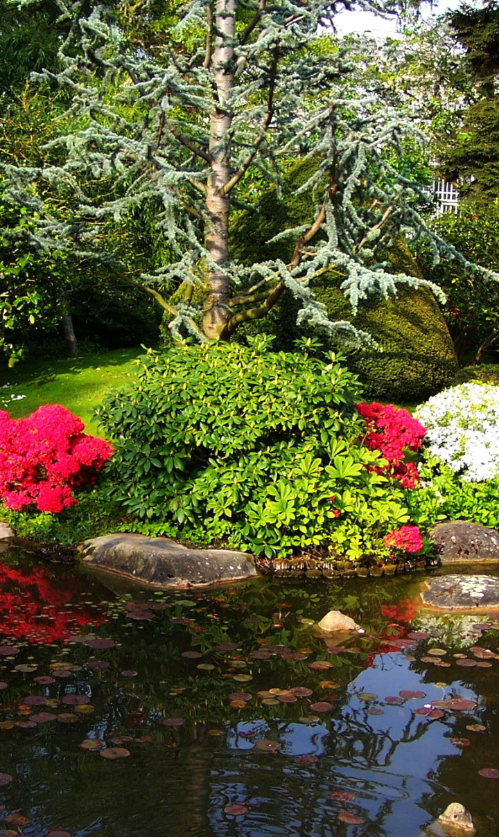 Цветочный пруд 22. Красивый пруд и растения. Японский сад с прудом. Японский сад деревьев и кустарников. Композиция у пруда.