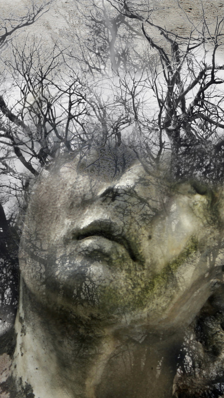 деревья, фон, статуя, монтаж