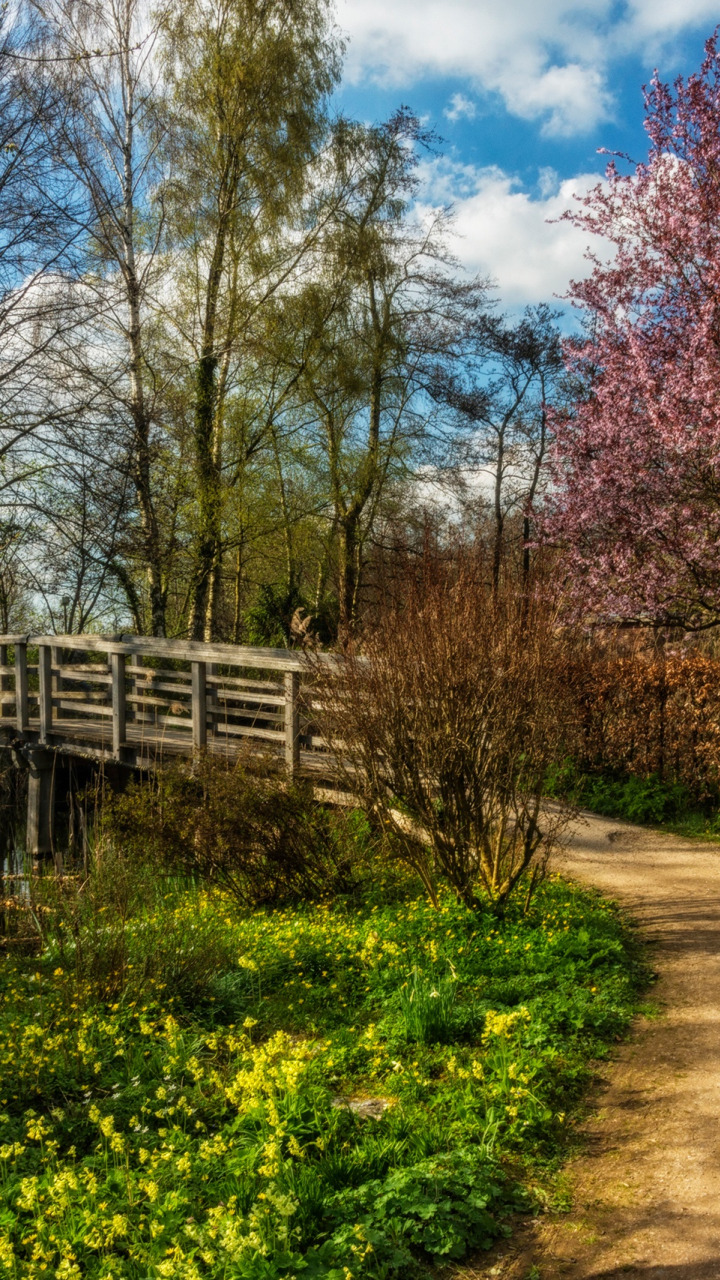 небо, трава, солнце, облака, деревья, мост, весна, дорожка