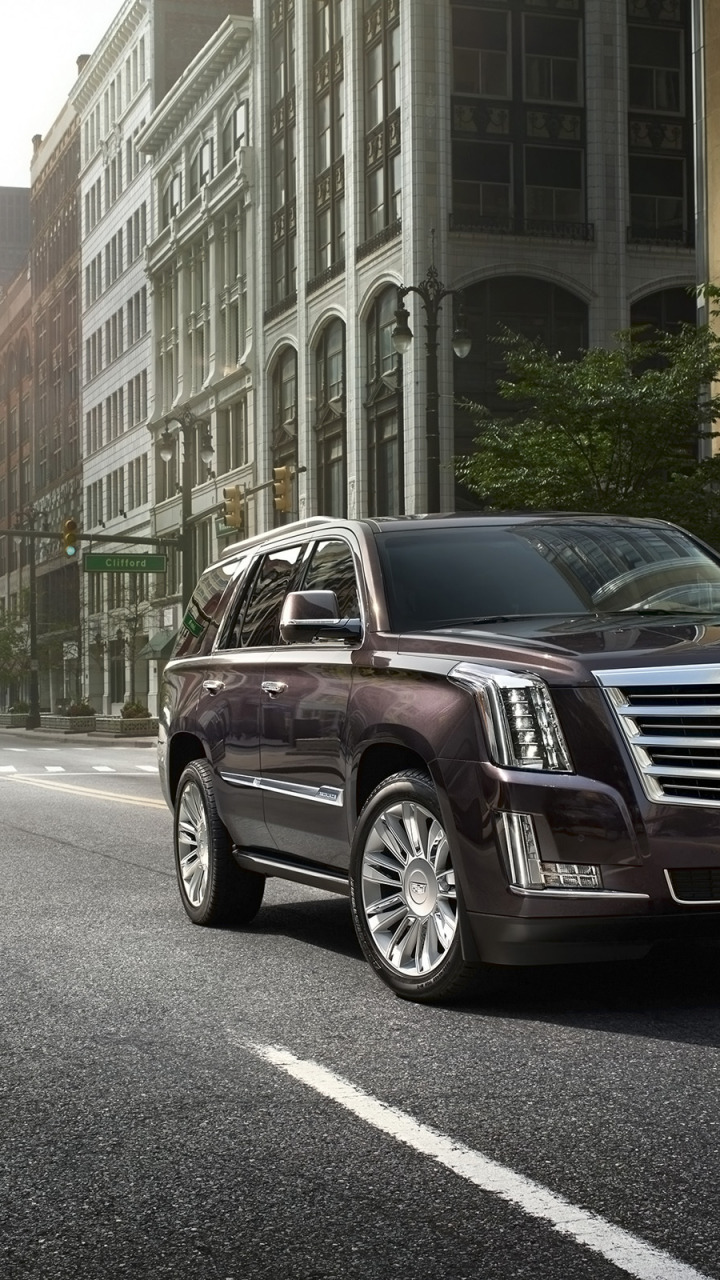 Кадиллак Эскалейд 2015. Кадиллак Escalade. Cadillac Escalade 2015 Platinum. Кадиллак Эскалейд платинум 2015.