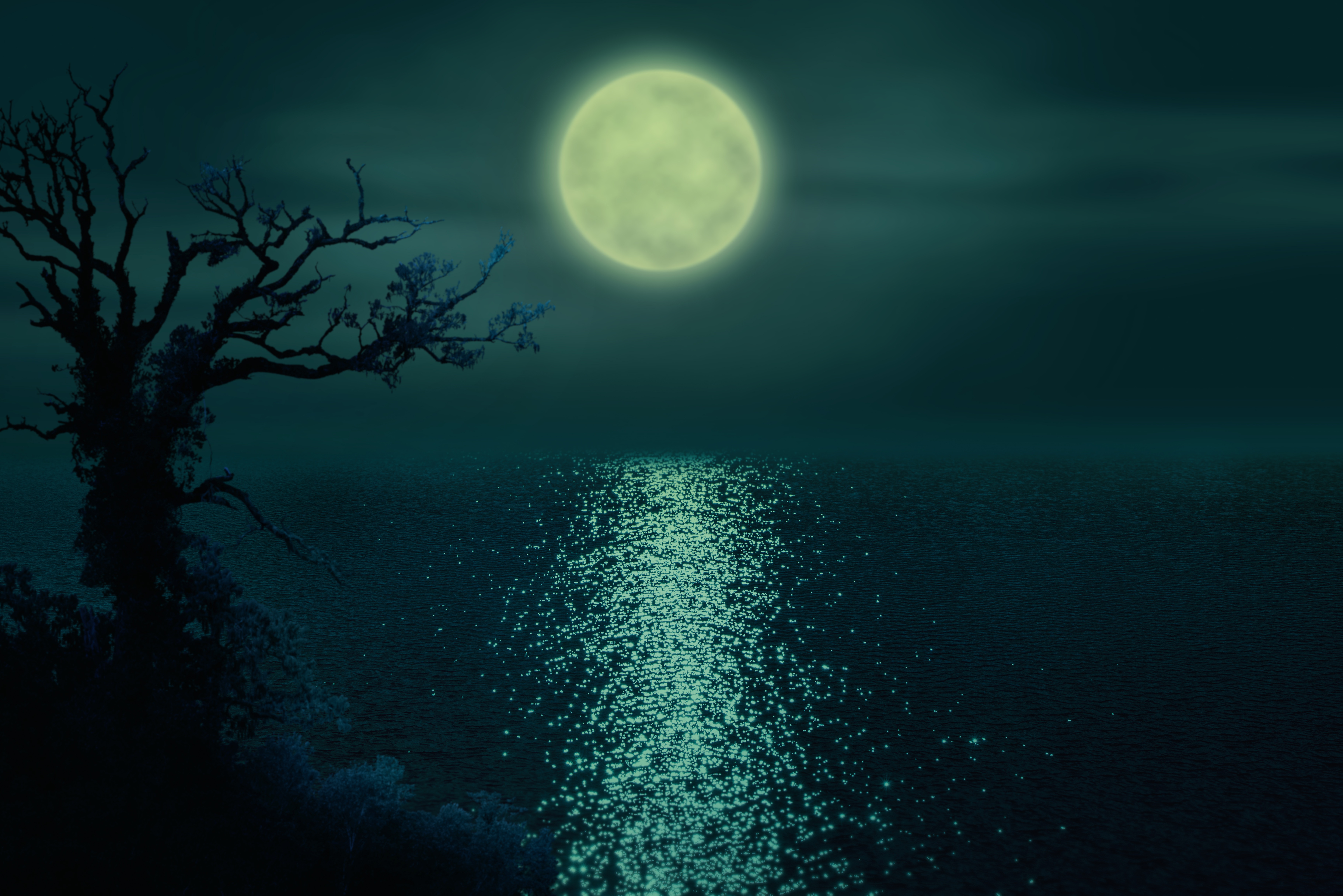 Луна озера ночи. Лунная ночь. Лунный свет. Ночь в море. Ночное море.