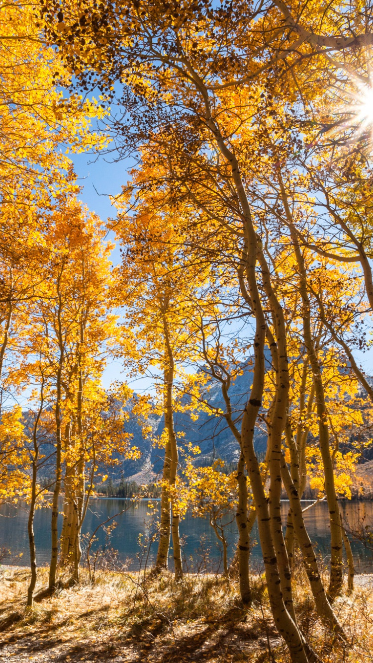 Фото Осеннее Утро В Улан Удэ