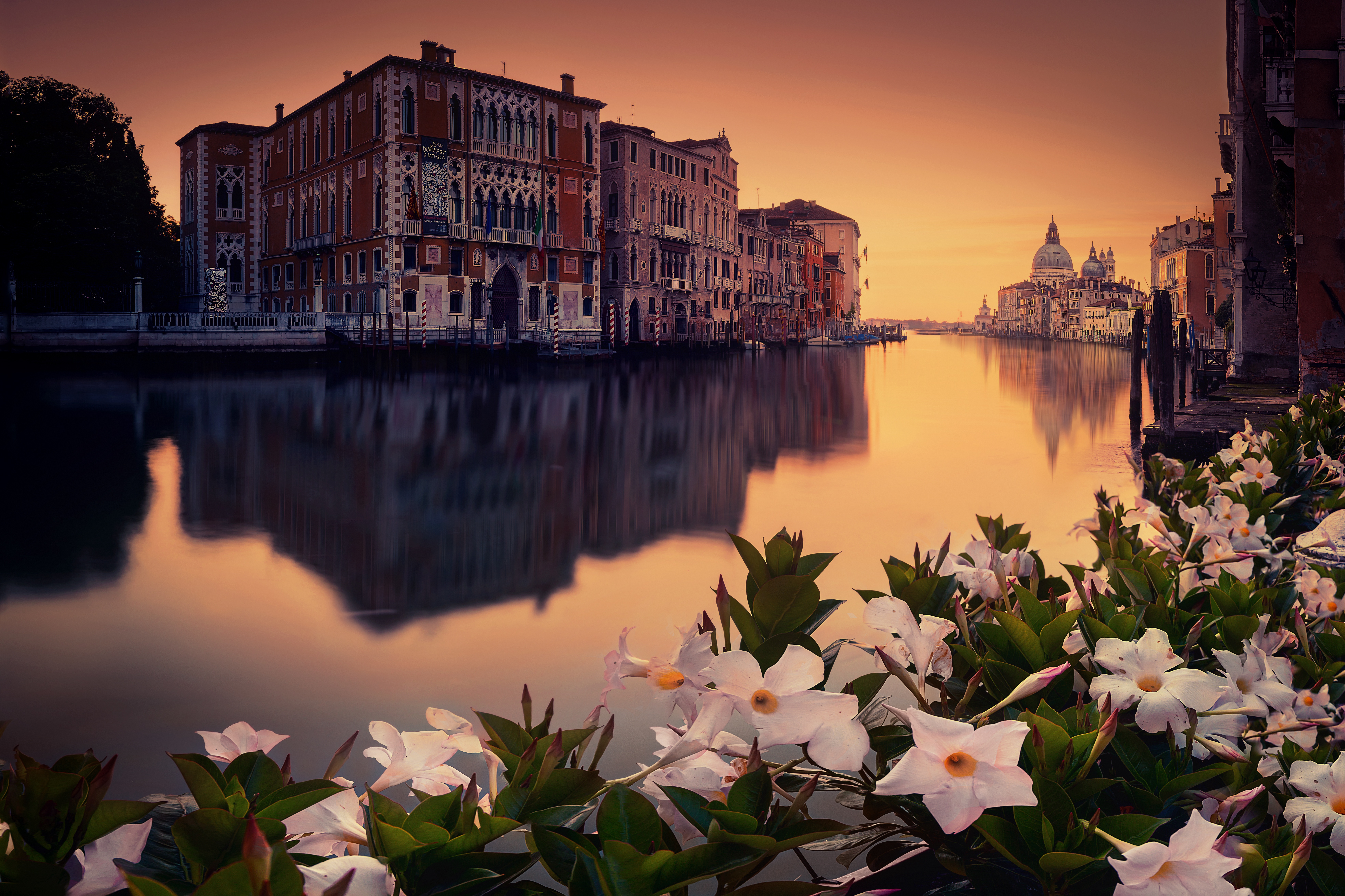 Обои на стол италия. Венеция. Венеция Италия. Италия Венеция море. Венеция Италия цветы.