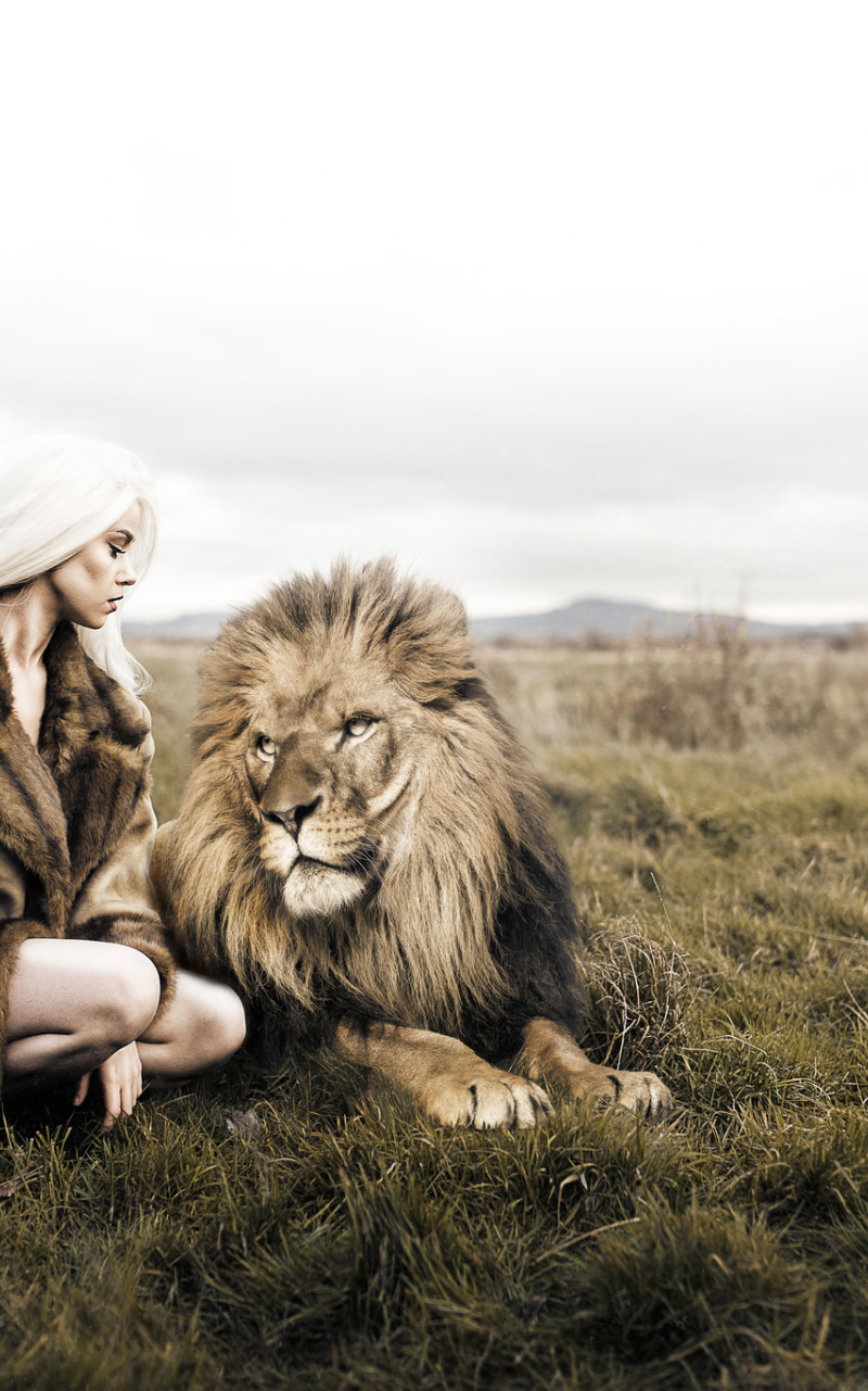 Мужчин лев женщина форум. Девушка и Лев. Фотосессия со львом. Красивая девушка со львом. Женщина львица.