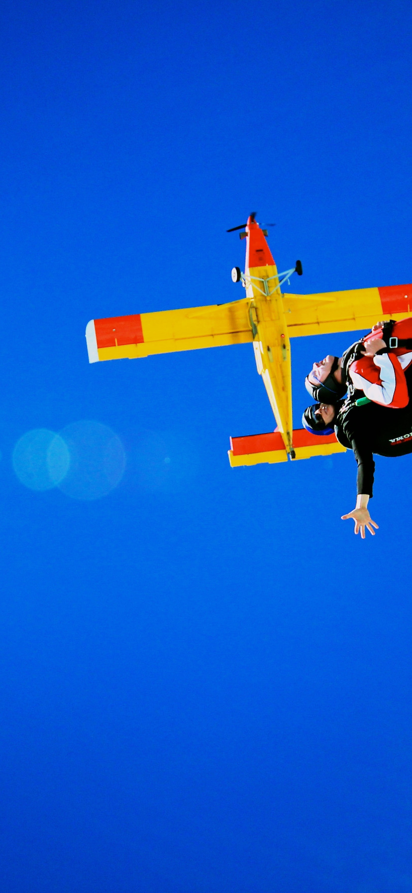 парашют, контейнер, шлем, самолёт, солнечный свет, парашютисты, tandem, экстремальный спорт