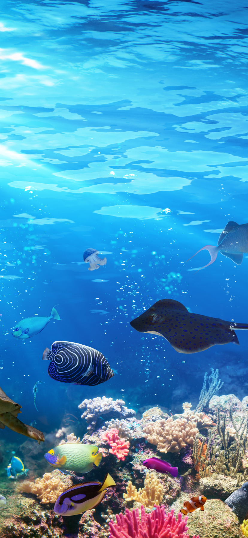 colorful, deep, blue, background, color, coral, aquarium, abyss
