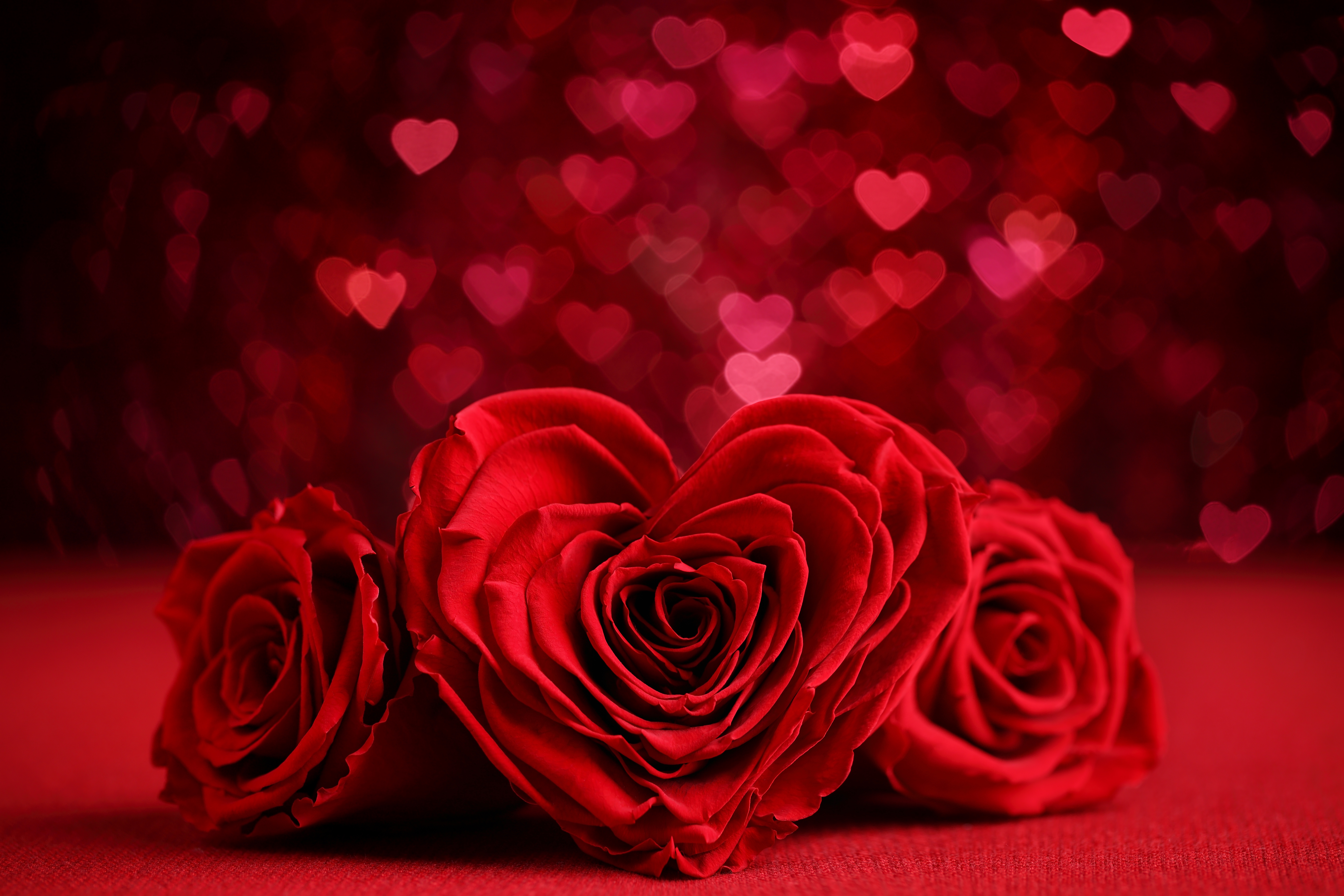 Rose romance. Цветы сердечки. Красные розы. Красивые цветы сердечком. Цветы на Красном фоне.