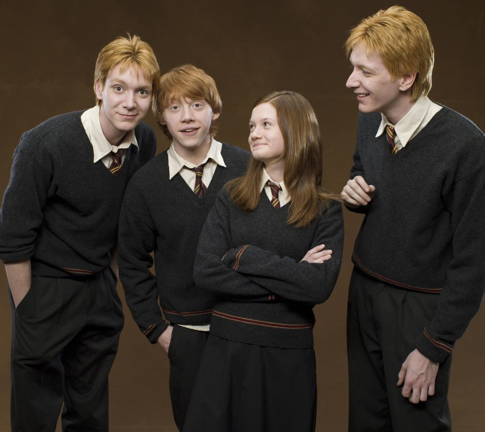 Родители рона. Братья Уизли. Weasley Family. Перси Уизли.