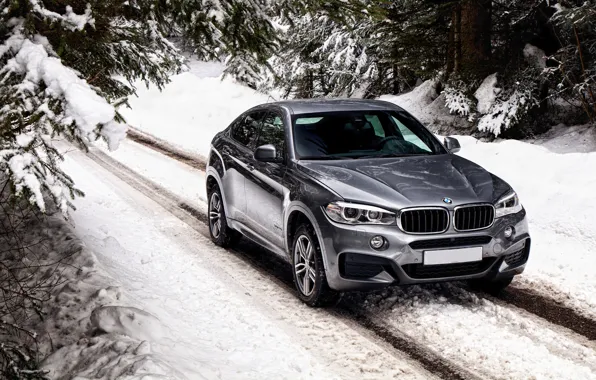 Картинка зима, снег, бмв, BMW, xDrive, UK-spec, F16, 2015