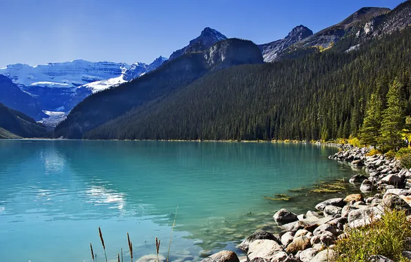 Картинка лес, небо, солнце, деревья, горы, озеро, камни, Канада