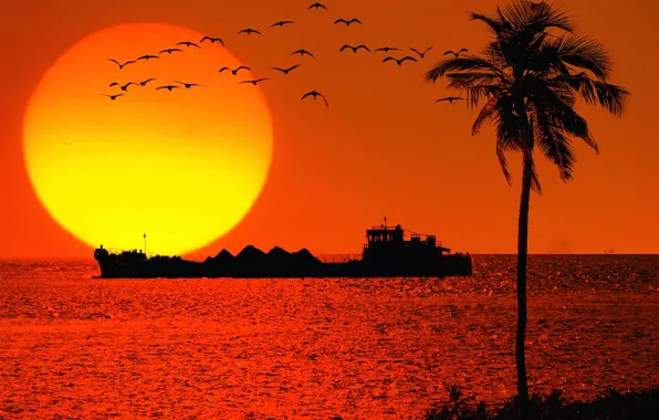 Картинка море, солнце, закат, птицы, пальма, корабль, танкер, силуэты