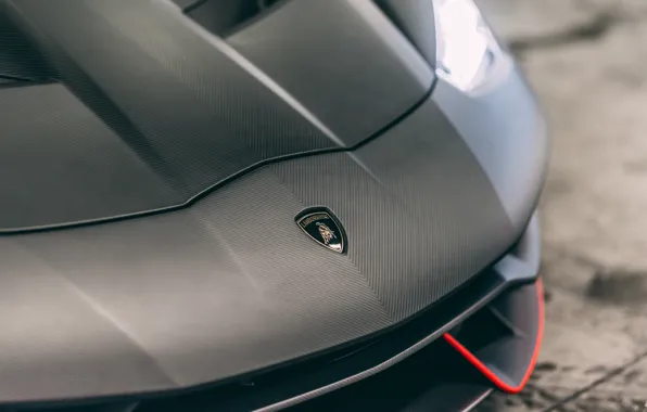 Картинка Lamborghini, logo, front, badge, Lamborghini Centenario, Centenario