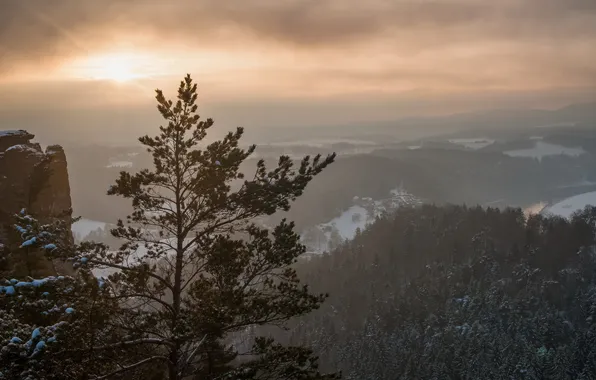 Деревья, пейзаж, закат, горы